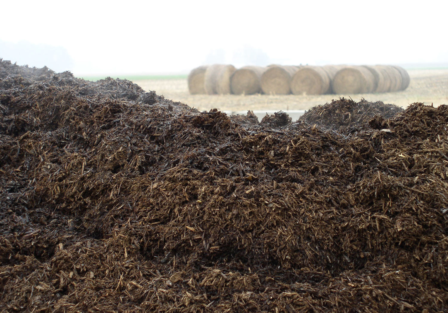 OLYMPUS DIGITAL CAMERA Timberline Instruments